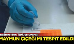 İngiltere'den Türkiye uyarısı: Maymun çiçeği mi tespit edildi?
