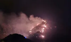 Marmara Adası'nda orman yangını!