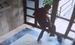 Başakşehir'de kediyi öldüren şahıs tutuklandı!