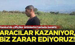 Manisa’da çiftçiler ürünlerini tarlada bıraktı: Aracılar kazanıyor, biz zarar ediyoruz