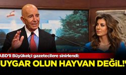 ABD'li Büyükelçi gazetecilere sinirlendi: Uygar olun hayvan değil!
