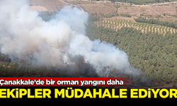 Çanakkale’de bir orman yangını daha! Ekipler müdahale ediyor