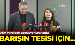 DEM Parti'den operasyonlara sert tepki: Toplumsal barışın tesisi için vazgeçilmeli