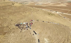 Şanlıurfa'da bir milyon fide toprakla buluşturulacak