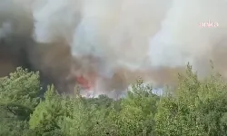 Muğla'da yerleşim yeri yakınında orman yangını!