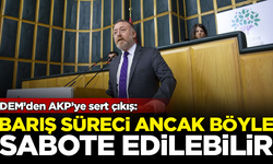 DEM'den AKP'ye sert çıkış: Bir barış süreci ancak böyle sabote edilebilir