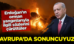 Erdoğan'ın sözlerini çürüttüler! Dikkat çeken orman yangını analizi