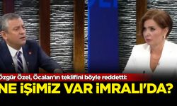 Özgür Özel, Öcalan'ın teklifini reddetti: Ne işimiz var İmralı'da