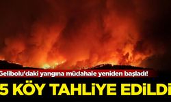 Gelibolu'daki yangına müdahale yeniden başladı! 5 köy tahliye edildi