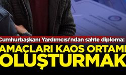 Cumhurbaşkanı Yardımcısı'ndan sahte diploma: Amaçları kaos ortamı oluşturmak