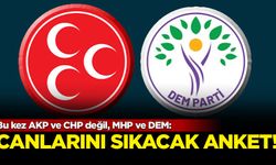 Bu kez AKP ve CHP değil, MHP ve DEM