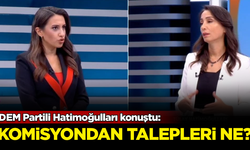 DEM Partili Hatimoğulları konuştu: Komisyondan talepleri ne?