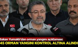 Bakan Yumaklı'dan orman yangını açıklaması: 45 orman yangını kontrol altına alındı