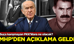 Suça karışmayan PKK'lılara ne olacak? MHP'den açıklama geldi
