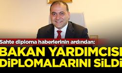 Ulaştırma Bakanı yardımcısı sessiz sedasız diplomalarını sildi