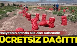 Yozgat’ta soğan patates tarlada ücretsiz dağıtılmaya başlandı