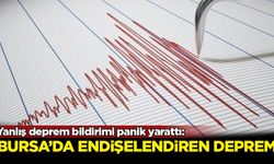 Yanlış deprem bildirimi panik yarattı: Bursa'da endişelendiren deprem