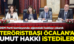 DEM Parti komisyonda ağzındaki baklayı çıkardı! Teröristbaşı Öcalan'a 'umut hakkı' istediler
