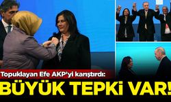 'Topuklayan Efe' Özlem Çerçioğlu, AKP'yi karıştırdı! Büyük tepki var