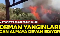 Orman yangınına müdahale ediyordu: Acı haber duyuruldu