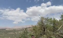 Şırnak’ta orman yangını kontrol altına alındı