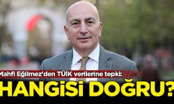 Mahfi Eğilmez'den TÜİK verilerine tepki: Hangisi doğru?