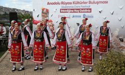Eyüpsultan’da 'Anadolu rüyası kültürler buluşması' uluslararası dans festivali