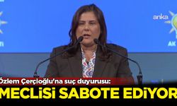 Özlem Çerçioğlu'na suç duyurusu: Meclisi sabote ediyor