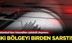 İstanbul'dan hissedilen şiddetli deprem: İki bölgeyi briden sarstı