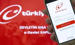 e-Devlet'ten yeni uygulama: Resmen hizmete başladı