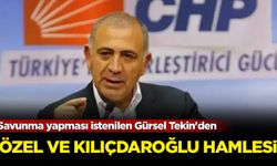 Savunma yapması istenilen Gürsel Tekin'den Özel ve Kılıçdaroğlu hamlesi