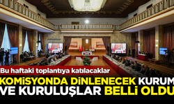 Komisyonda dinlenecek kurum ve kuruluşlar belli oldu