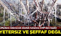 Çiftçilere ödenecek destek tutarına CHP'den tepki: Yetersiz ve şeffaf değil