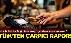 TÜİK'ten çarpıcı tüketim harcaması raporu