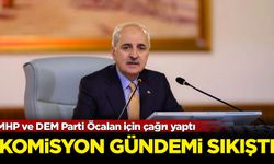 MHP ve DEM Parti Öcalan için çağrı yaptı: Komisyon gündemi sıkıştı