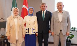 Yeni Yol grubu düşecek mi? Bir vekil AK Parti'ye bir vekil DEM'e gidiyor iddiası