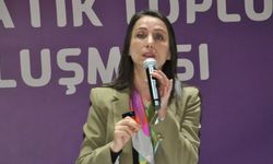 DEM Parti’den YENİ Parti’ye “Çerçeve Yasa” mesajı: Tamamının ‘evet’ demesini beklerdik