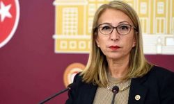 YENİ Parti'nin 'çerçeve yasa' sınavı! Bir vekil 'hayır' diyeceğini X'ten duyurdu