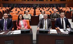YENİ Parti çerçeve yasa için rengini belli etti