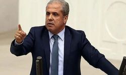 Şamil Tayyar’dan DEM Parti’ye PKK'lılar için 'taziye çadırı' tepkisi: 'Siyasi sonuçları olacaktır'
