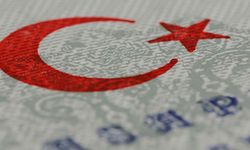 Sahte ekspertizle vatandaşlık operasyonu: 72 gözaltı, 687 kişi için iptal süreci