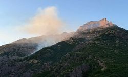 Munzur Vadisi Milli Parkı'ndaki yangın 4 günde söndürüldü