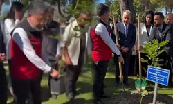 Pes artık dedirten görüntü: Tarım Bakanı fidanı saksıdan çıkarmadan toprağa dikmeye çalıştı