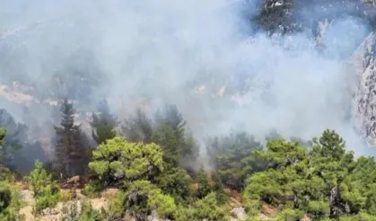 Kaş'ta orman yangını