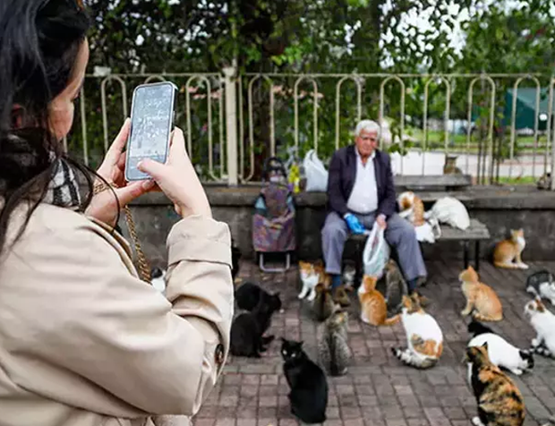 Emekli maaşını, sokaktaki 800 kediyi beslemeye harcıyor