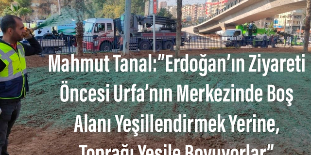 Mahmut Tanal:''Erdoğan'ın Ziyareti Öncesi Urfa'da, Toprağı Yeşile Boyuyorlar''
