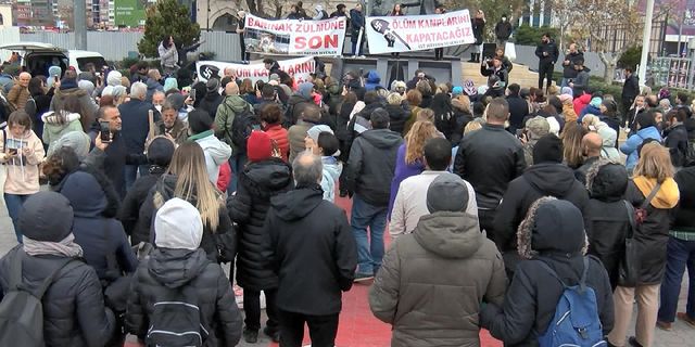 Kadıköy’de sokak hayvanları için eylem