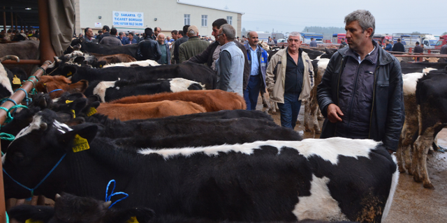 Valiliğin yasağı kağıt üstünde kaldı: Boş araziyi kullandılar