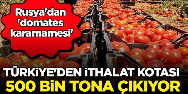 Rusya'dan 'domates kararnamesi' İthalat kotası 500 bin tona çıkıyor