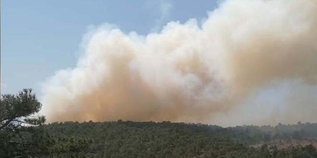 Denizli'de orman yangını çıktı! Havadan ve karadan müdahale ediliyor